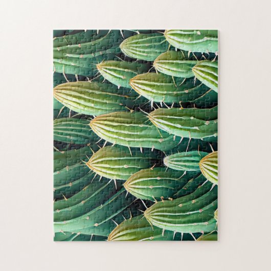 Cactus Pattern 1 De Dagelijkse puzzel Recent (Verticaal)