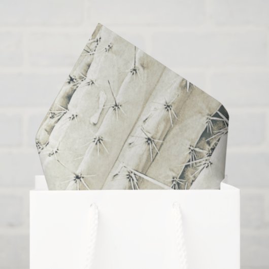 Cactus Photo Art Neutral Chic Moderne Woestijn Tissuepapier (Cadeauzakje)