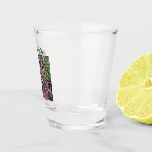 Cactus Photo Barrel Cacti Desert Plant Southwest Shot Glas (Rechts)