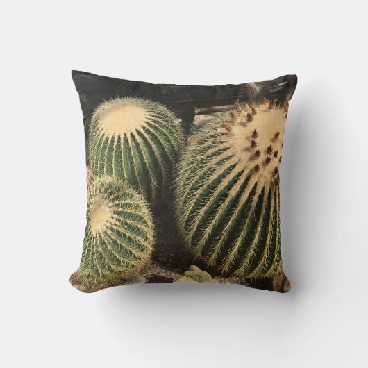 Cactus Pillow Kussen (Voorkant)