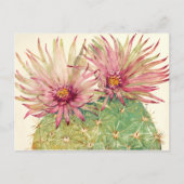 Cactus Pink Blossom Briefkaart (Voorkant)