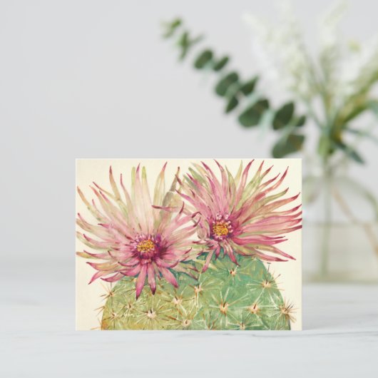 Cactus Pink Blossom Briefkaart (Staand voorkant)