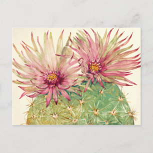 Cactus Pink Blossom Briefkaart