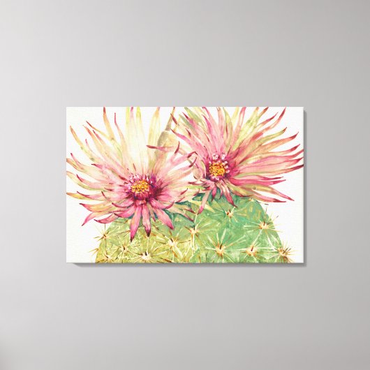 Cactus Pink Blossom Canvas Afdruk (Voorkant)