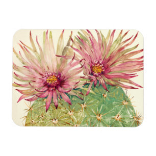 Cactus Pink Blossom Magneet