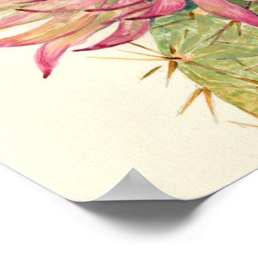 Cactus Pink Blossom Poster (Hoek)