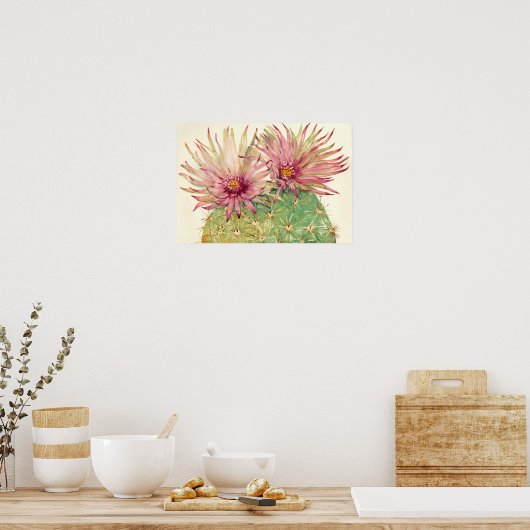 Cactus Pink Blossom Poster (Keuken)