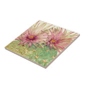 Cactus Pink Blossom Tegeltje (Zijkant)