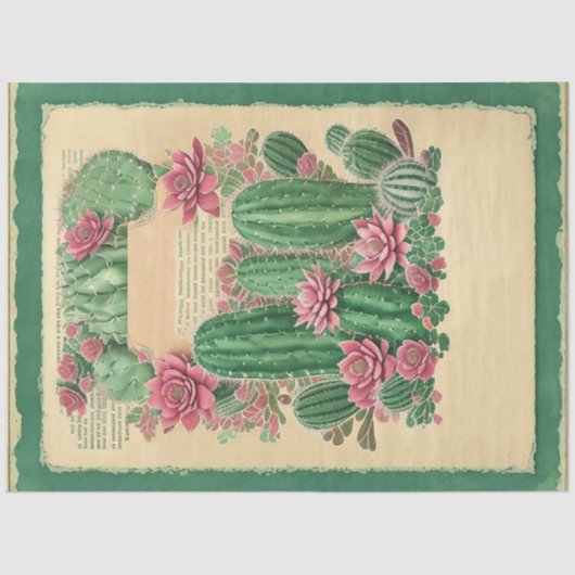 Cactus Pink Flower Ephemera Collage Art No1 Tissuepapier (Voorkant)