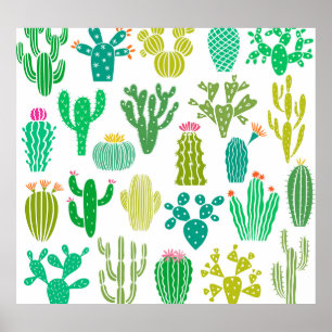 Cactus plant: bloemenset. poster