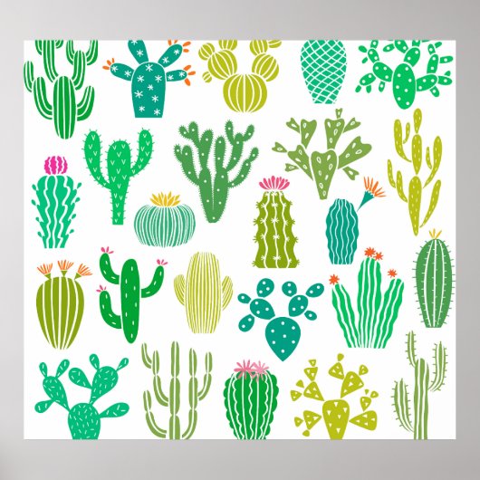 Cactus plant: bloemenset. poster (Voorkant)