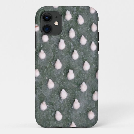 Cactus Plant Close-up Foto iPhone SE + iPhone 5/5 Case-Mate iPhone Case (Achterkant)