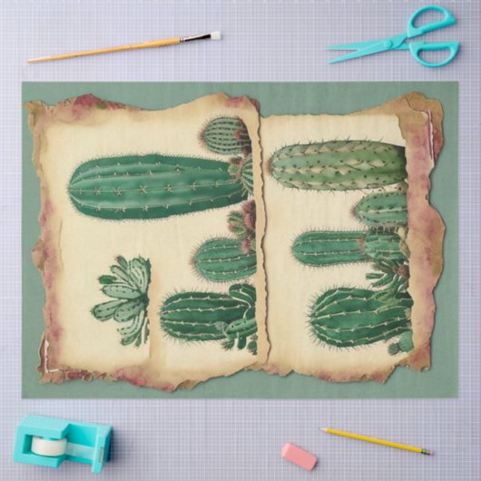 Cactus Plant Ephemera Collage Art No2 Tissuepapier (Craft)