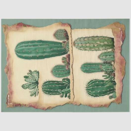 Cactus Plant Ephemera Collage Art No2 Tissuepapier (Voorkant)