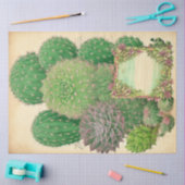 Cactus Plant Ephemera Collage Art No7 Tissuepapier (Craft)