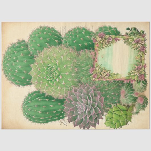 Cactus Plant Ephemera Collage Art No7 Tissuepapier (Voorkant)