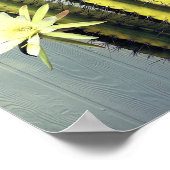 Cactus-Plant met Natuur van blokfoto's Poster (Hoek)