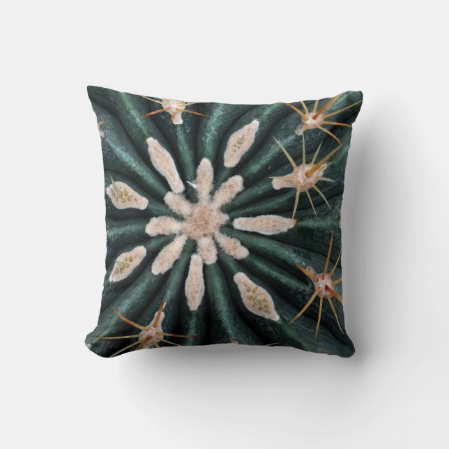 Cactus Plant Photo Throw Cushion 41 cm x 41 cm Kussen (Voorkant)