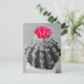 Cactus Plant zwart wit foto met roze bloem Briefkaart (Staand voorkant)