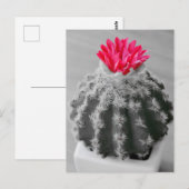 Cactus Plant zwart wit foto met roze bloem Briefkaart (Voorkant / Achterkant)