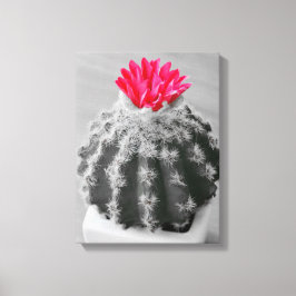 Cactus Plant zwart wit foto met roze bloem Canvas Afdruk