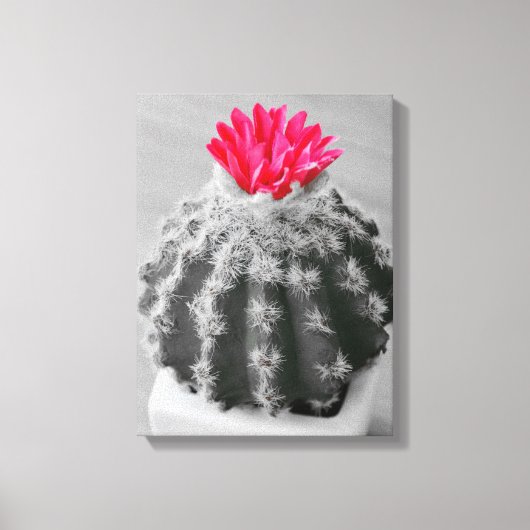 Cactus Plant zwart wit foto met roze bloem Canvas Afdruk (Voorkant)