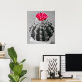 Cactus Plant zwart wit foto met roze bloem Poster (Thuiskantoor)