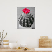 Cactus Plant zwart wit foto met roze bloem Poster (Keuken)