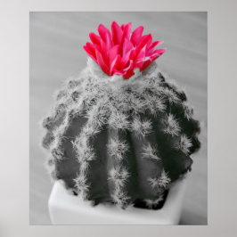 Cactus Plant zwart wit foto met roze bloem Poster