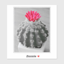 Cactus Plant zwart wit foto met roze bloem Sticker
