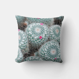 Cactus-Planten met kleine roze bloemen Kussen