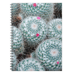 Cactus Planten met kleine roze bloemen Notitieboek