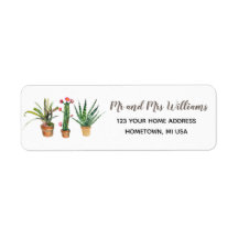 Cactus Planten Succulent Return Address