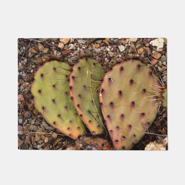 Cactus Portrait Deurmat (Voorkant)