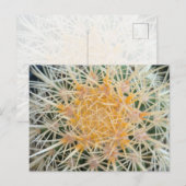 Cactus Postcard Briefkaart (Voorkant / Achterkant)