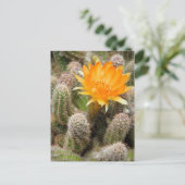 Cactus:Postcard Briefkaart (Staand voorkant)
