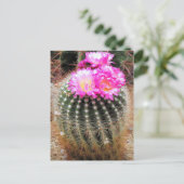 Cactus：Postcard Briefkaart (Staand voorkant)