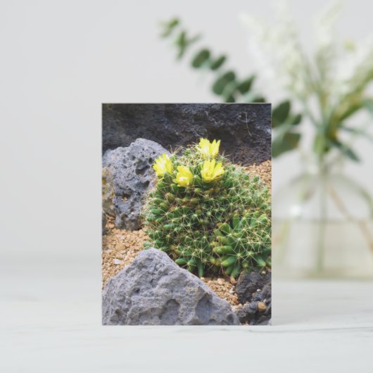Cactus：Postcard Briefkaart (Staand voorkant)
