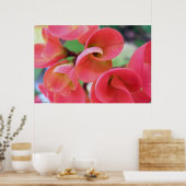 Cactus Poster (Keuken)