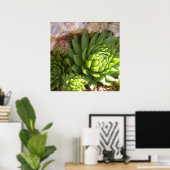 Cactus Poster (Thuiskantoor)