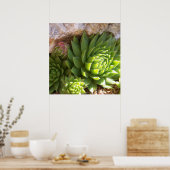 Cactus Poster (Keuken)