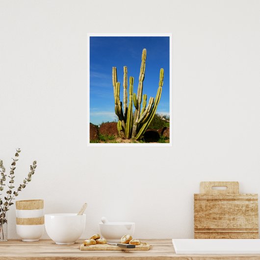 Cactus Poster (Keuken)