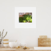 Cactus Poster (Keuken)