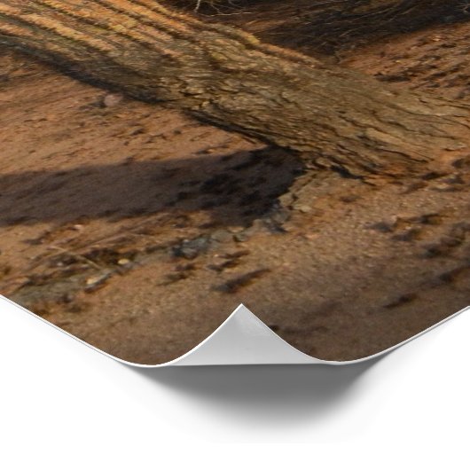 Cactus Poster (Hoek)