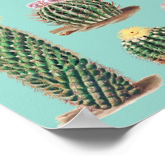 Cactus Poster (Hoek)