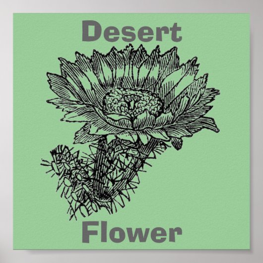 Cactus Poster (Voorkant)