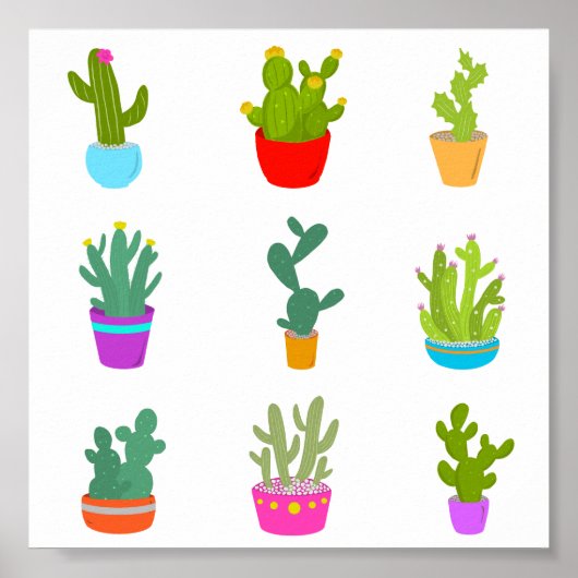 Cactus Poster (Voorkant)