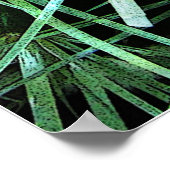 Cactus Poster (Hoek)