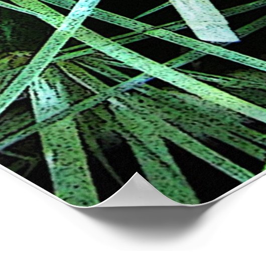 Cactus Poster (Hoek)