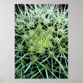 Cactus Poster (Voorkant)
